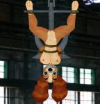 anchor breasts duct_tape factory female folwilliar hanging lady_(character) lady_and_the_tramp pussy rope
Rating: Explicit
Score: 1
User: APimpFromBuffalo
Date: December 27, 2013