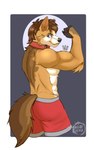 abs anthro biceps big_muscles blue_eyes bottomwear brown_body clothed clothing collar flexing fur hair looking_at_viewer male muscular muscular_anthro muscular_male pecs shorts simple_background smile smiling_at_viewer smirk smirking_at_viewer solo tail teeth topless topless_anthro topless_male kobi_seika scott_(corgipudding) canid canine canis domestic_dog herding_dog mammal pastoral_dog welsh_corgi 5:8 hi_res