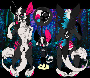 anthro arm_tuft back_tuft black_body black_bottomwear black_clothing black_ears black_fur black_pants black_sclera black_shirt black_t-shirt black_tail black_topwear bottomwear cheek_tuft chest_tuft chibi clothed clothing color_swatch facial_tuft featureless_crotch female female_symbol forest front_view fur gender_symbol glistening glistening_eyes head_tuft inner_ear_fluff knee_tuft leg_tuft markings navel neck_tuft pants pink_body pink_fur pink_inner_ear pink_inner_ear_fluff pink_stripes plant purple_eyes rear_view shirt solo standing striped_body striped_fur stripes symbol t-shirt tail tail_tuft topless topwear tree tuft white_body white_fur white_markings white_tail white_tail_tuft princelykaden canid canine mammal model_sheet
