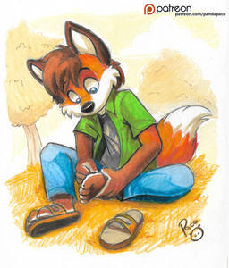 anthro barefoot black_nose blue_bottomwear blue_clothing blue_eyes blue_pants bottomwear brown_hair clothed clothing feet footwear front_view fur glistening glistening_eyes glistening_nose green_clothing green_topwear grey_clothing grey_topwear hair logo male orange_body orange_fur outside pants patreon_logo sandals shoes short_hair sitting solo text topwear white_body white_fur young young_anthro young_male pandapaco patreon canid canine fox mammal artist_logo signature url