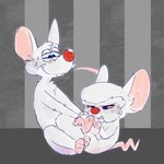 anthro blush bodily_fluids crossed_legs duo male male/male penetration size_difference small_dom_big_sub sweat sweatdrop pawfunk pinky_and_the_brain warner_brothers pinky_(warner_brothers) the_brain mammal mouse murid murine rodent 1:1 absurd_res hi_res