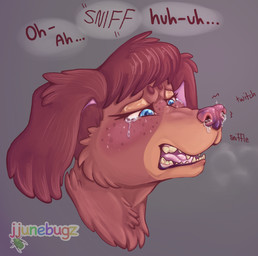 anthro blue_eyes bodily_fluids brown_body brown_fur brown_hair ear_hair eyelashes female floppy_ears freckled_face freckles fur glistening_eyelids hair long_eyelashes motion_lines nose_fetish nose_twitch onomatopoeia red_nose sneeze sneezing_fetish sniffling snot solo sound_effects tears text jjunebugz junebug_(jjunebugz) canid canine canis dachshund domestic_dog hunting_dog mammal hi_res
