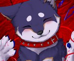 abstract_background album_redraw black_nose blue_body blue_fur blush circle_eyebrows collar ear_piercing entangled eyebrows eyes_closed female feral fur multicolored_body multicolored_fur paws piercing smile solo spiked_collar spikes string white_body white_fur kuroi_shiba_(artist) nijisanji vtuber kuroi_shiba canid canine canis domestic_dog mammal shiba_inu spitz bust_portrait portrait redraw