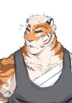 anthro clothing fur hair male muscular muscular_anthro muscular_male pecs simple_background solo topwear ixkouu felid mammal pantherine 2021 digital_media_(artwork) hi_res