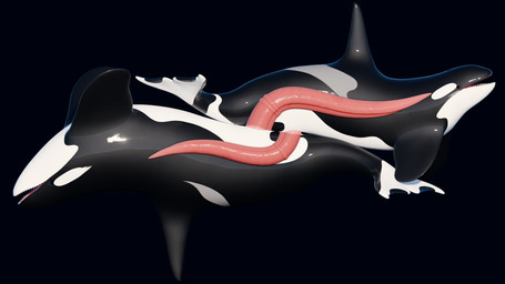 anal anal_penetration animal_genitalia animal_penis anus big_penis black_background black_body blue_eyes cetacean_genitalia cetacean_penis deep_penetration duo erection feral feral_on_feral feral_penetrated feral_penetrating feral_penetrating_feral fin flukes genital_slit genitals glistening glistening_body glistening_genitalia glistening_penis huge_penis long_penis male male/male male_penetrated male_penetrating male_penetrating_male medial_ring medial_ringed_tapering_penis multicolored_body mutual mutual_penetration mutual_penile open_mouth penetration penile penis prehensile_penis red_eyes sex simple_background surprised tail tapering_penis teeth tilde_position two_tone_body unusual_position very_long_penis white_body x-ray_view qubane korqa orqa aquatic cetacean dolphin mammal oceanic_dolphin orca toothed_whale 16:9 3d_(artwork) 4k absurd_res blender_(artwork) blender_cycles_(artwork) digital_media_(artwork) hi_res widescreen