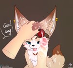 absurd_res anthro blush bodily_fluids brown_background canid canine colored_nails countershading cum cum_in_mouth cum_inside cum_on_body cum_on_face cum_on_penis dialogue disembodied_hand duo ear_piercing eyewear eyewear_on_head fennec_fox first_person_view fox genital_fluids genitals glasses goggles goggles_on_head good_boy headpat hi_res human human_on_anthro humanoid_genitalia humanoid_hands humanoid_penis interspecies male male/male male_on_anthro mammal nails penis piercing senz simple_background sitting text true_fox url wet wet_penis