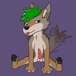 animal_genitalia animal_penis anthro balls biped canine_genitalia canine_penis chibi erection genitals knot knotted_penis male male_anthro pawpads paws penis silly silly_face solo tail tail_motion tailwag tongue tongue_out stinkycoyote stinkyote canid canine canis coyote mammal 1:1 absurd_res hi_res