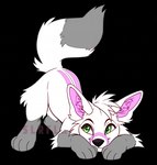 ambiguous_gender feral fur green_eyes grey_body grey_fur simple_background solo transparent_background white_body white_fur ailuranthropy canid canine mammal 2021 alpha_channel digital_media_(artwork)