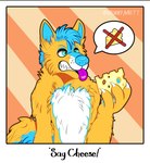 anthro blue_hair cheese cheese_wedge dairy_products food hair male solo hunnymutt canid canine canis domestic_dog german_shepherd herding_dog mammal pastoral_dog absurd_res hi_res