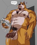 abs after_masturbation annoyed anthro armpit_hair balls barazoku beard biceps big_balls big_penis bodily_fluids body_hair broken_sex_toy brown_body brown_fur chest_tuft cigarette cigarette_in_mouth cum cum_drip cum_in_sex_toy cum_on_penis cum_on_sex_toy cum_string dialogue dripping eye_scar facial_hair facial_scar fur genital_fluids genitals happy_trail holding_object holding_penetrable_sex_toy holding_sex_toy humanoid_genitalia humanoid_penis inside low-angle_view male muscular muscular_anthro muscular_male navel nipples nude object_in_mouth pecs penetrable_sex_toy penis pubes scar sex_toy smoking solo tan_body tan_fur teeth text tuft vein veiny_penis joelbearb canid canine canis mammal wolf english_text hi_res