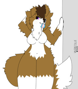 anthro breasts featureless_breasts female freckles hair lgbt_pride piercing pride_colors solo transgender_pride_colors valeriecollie valerie_(valeriecollie) border_collie canid canine canis collie domestic_dog herding_dog mammal pastoral_dog sheepdog absurd_res hi_res trans_(lore)