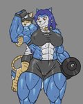 abs anthro biceps bodily_fluids breasts camel_toe clothing dumbbell duo female flexing hair larger_female male male/female muscle_worship muscular muscular_anthro muscular_female nipple_outline pecs pecs_with_breasts size_difference smaller_male sweat weights rawslaw5 hopey canid canine canis domestic_cat felid feline felis mammal wolf