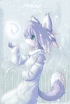 anthro clothed clothing dipstick_tail dress duo eyes_closed facial_markings female flying fully_clothed fur glowing green_eyes grey_body grey_fur grey_hair hair head_markings inner_ear_fluff kemono looking_at_another markings multicolored_hair multicolored_tail nude open_mouth side_view snow snowing tail tail_markings tuft white_body white_fur white_hair totem.v tysontan karma_(tysontan) canid canine canis mammal wolf hi_res