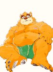 anthro belly bulge clothing eyewear glasses humanoid_hands kemono male moobs navel nipples simple_background solo underwear heylaw21 lifewonders tokyo_afterschool_summoners volos_(tas) bear mammal 2023 absurd_res hi_res