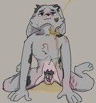 anthro blush bodily_fluids body_blush chastity_cage chastity_device chastity_device_only collarbone dark_spots fur genital_fluids grey_body grey_fur looking_up male nude pubes scar self-harm_scars sitting skinny solo spots spread_legs spreading tuft urine urine_on_chest urine_on_ground urine_stream watersports wearing_chastity_device soft_and_wett lucienne_(soft_and_wett) lagomorph leporid mammal rabbit hi_res