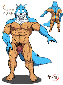 5_fingers 5_toes anthro black_nose blue_body blue_fur feet fingers fur genitals humanoid_feet humanoid_genitalia humanoid_penis male muscular muscular_male navel penis plantigrade pubes shaved simple_background smile solo split_form text toes vein veiny_penis white_background white_body white_fur monapic_chang subaru_(monapic_chang) canid canine canis domestic_dog mammal 2020 3:4 digital_drawing_(artwork) digital_media_(artwork) hi_res japanese_text model_sheet