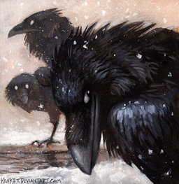 ambiguous_gender feet feral group snow talons toes kenket avian bird corvid corvus_(genus) oscine passerine raven 2015
