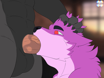 anthro balls bodily_fluids claws cum cum_in_mouth cum_inside duo eyebrows fellatio genital_fluids genitals hand_on_head male male/male oral orange_eyes penile penis penis_in_mouth sex j450n2080 max_damage_(furry) sopfox canid canine canis fox mammal wolf 4:3 animated hi_res no_sound short_playtime video