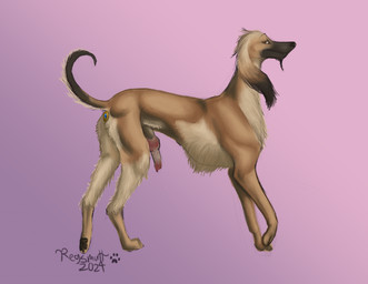 anal anal_penetration anatomically_correct anatomically_correct_genitalia anatomically_correct_penis animal_genitalia animal_penis buttplug buttplug_in_ass buttplug_insertion canine_genitalia canine_penis countershading feral fur gem genitals knot male male_penetrated object_in_ass penetration penis plug_(sex_toy) plug_insertion sex_toy sex_toy_in_ass sex_toy_insertion sheath solo tan_body tan_fur regsmutt afghan_hound canid canine canis domestic_dog hunting_dog mammal sighthound digital_media_(artwork) hi_res