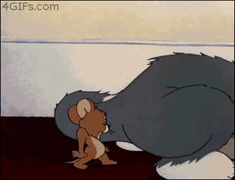 anal anthro bodily_fluids carpet cum cum_on_face duo extreme_size_difference genital_fluids kitchen_utensils male scared screencap size_difference suggestive tail tools what third-party_edit unknown_artist metro-goldwyn-mayer tom_and_jerry jerry_mouse thomas_cat domestic_cat felid feline felis house_mouse mammal mouse murid murine rodent tuxedo_cat 2d_animation animated frame_by_frame grandfathered_content low_res