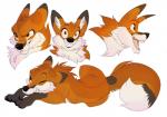 2019 ambiguous_gender canid canine digital_media_(artwork) dipstick_tail feral fluffy fluffy_tail fur hi_res looking_at_viewer mammal maned_wolf markings multicolored_tail multiple_poses narn one_eye_closed open_mouth orange_eyes pose sharp_teeth simple_background sketch_page smile solo tail tail_markings teeth tongue