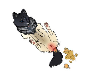 anal anal_insertion anal_penetration anus canine feces female insertion mammal oranges paleface paws penetration pooping pussy scat solo wolf
Rating: Explicit
Score: 0
User: Paleface
Date: September 07, 2014 anal anal_insertion anal_penetration anus canine feces female insertion mammal oranges paleface paws penetration pooping pussy scat solo wolf
Rating: Explicit
Score: 0
User: Paleface
Date: September 07, 2014