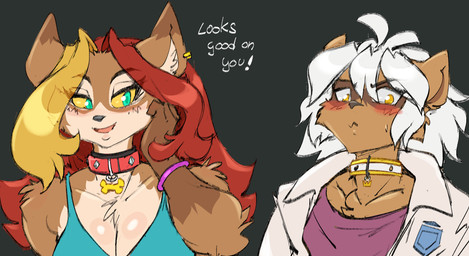 anthro blonde_hair blue_eyes blush bodily_fluids bracelet breasts brown_body brown_fur cleavage clothed clothing collar duo ear_piercing eyebrows female fingers fur hair jewelry long_hair looking_down male multicolored_body multicolored_fur multicolored_hair piercing red_hair shirt sweat sweatdrop topwear two_tone_body two_tone_fur two_tone_hair white_body white_fur white_hair yellow_eyes chalo riposte_(chalo) vixy canid canine fox mammal raccoon_dog tanuki hi_res