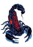 ambiguous_gender clothing feral footwear pedipalps pincers shoes simple_background solo stinger text text_on_clothing text_on_footwear text_on_shoes white_background billmund nike animate_inanimate arachnid arthropod hybrid scorpion english_text