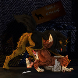 after_anal animal_genitalia animal_penis anthro anthro_on_anthro balls black_body black_fur black_pawpads black_tail bodily_fluids brown_body brown_fur brown_tail canine_genitalia canine_penis cum cum_on_balls cum_on_ground cum_on_own_penis cum_on_penis cum_on_self duo erection fangs fence fur genital_fluids genitals knot male male/male night open_mouth orange_eyes pawpads penis pink_nose pink_pawpads pink_penis red_penis red_tongue side_view sign tail teeth tongue white_body white_fur white_tail yellow_eyes msdeadsoul canid canine mammal 1:1 hi_res