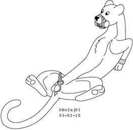 animal_genitalia animal_penis anus balls bdsm bondage bound erection feline_genitalia feline_penis feral fur gag gagged genitals hands_behind_back leaning leaning_backward long_tail looking_offscreen male nude_male penis sheath solo tail urbanhermit felid mammal pantherine 1993 dated low_res monochrome