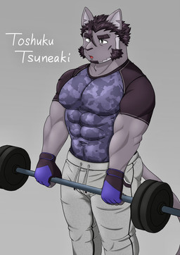 anthro barbell biceps black_body black_fur black_hair clothing exercise facial_hair fingerless_gloves fur gloves hair handwear holding_barbell holding_object male muscular muscular_anthro muscular_male pecs shirt solo t-shirt text tight_clothing topwear weightlifting workout dandelion860 lifewonders live_a_hero tsuneaki domestic_cat felid feline felis mammal english_text hi_res
