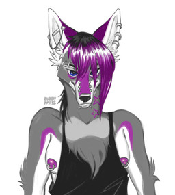 anthro arm_tuft barbell_ear_ring barbell_piercing blue_eyes bridge_piercing chest_tuft facial_piercing fur grey_body grey_fur hair lip_piercing male markings nipple_piercing nipples nose_piercing piercing purple_hair ring_piercing sleeveless_shirt snakebite_piercing solo star_(marking) tattoo_on_neck tuft ch40t1c alfonzo_(ch40t1c) canid canine canis coyote mammal hi_res