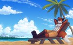 anthro beach black_claws black_eyebrows black_nose black_pawpads blue_sky bottomwear brown_body brown_bottomwear brown_clothing brown_fur brown_shorts chair cheek_tuft chest_tuft chin_tuft claws clothing countershade_face countershade_torso countershading crossed_legs detailed_background dipstick_ears dipstick_tail ear_markings eyebrows eyes_closed facial_markings facial_tuft footwear footwear_only fur furniture gloves_(marking) grey_cloud hair hands_behind_head head_markings horizon knee_tuft leg_markings leg_tuft logo lounge_chair male markings mostly_nude mountain multicolored_ears orange_body orange_fur orange_hair palm_tree pawpads plant reclining sand sea seaside shoes shoes_only short_hair shorts sky socks_(marking) solo tail tail_markings tree tuft water white_body white_clouds white_fur sammfeatblueheart canid canine fox mammal 2023 artist_logo hi_res shaded signature