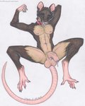 anthro balls big_balls bodily_fluids brown_body brown_fur buckteeth collar foreskin fur genital_fluids genitals half-erect humanoid_genitalia humanoid_penis looking_at_viewer lying male nails nude on_back partially_retracted_foreskin penis precum red_eyes simple_background solo spread_legs spreading teeth text vein veiny_penis whiskers toots shephard mammal murid murine rat rodent 2019 hi_res traditional_media_(artwork) url