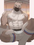 3:4 abs bandage boxers_(clothing) canid canine canis clothing embarrassed footwear hachi_duchi hair hi_res looking_at_viewer male mammal muscular nipples pecs pubes socks solo underwear