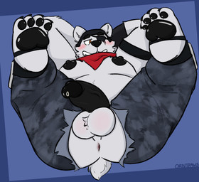 anthro anus balls bodily_fluids clothing eye_patch eyewear genital_fluids genitals hands_behind_head headgear lying male nipples on_back pawpads paws precum scarf solo torn_clothing orbitpaws epic_games fortnite polar_patroller bear mammal polar_bear ursine absurd_res hi_res