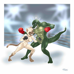 abs anthro balls barefoot biceps boxing boxing_gloves boxing_gloves_only breasts claws clothing competition duo erection fangs feet female fighting_ring genitals hand_on_penis handwear handwear_only humanoid_genitalia humanoid_penis lights male mostly_nude muscular muscular_anthro muscular_male nipples pecs penis sexual_competition sexual_fight smile sport star teeth vulva gexon yang_(gexon) alligator alligatorid crocodilian domestic_cat felid feline felis mammal reptile scalie siamese_cat 1:1 2017 hi_res