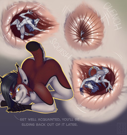 anal anal_vore anal_wink anthro anus black_hair clenching collar duo female hair male male/female multiple_piercings piercing pink_anus purple_hair red_body text unconscious vore yellow_eyes joooon taloverae felid feline lynx mammal sergal absurd_res english_text hi_res