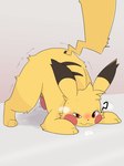 animal_genitalia animal_penis ass_up blush erection feral fur genitals heart_symbol looking_at_viewer male penis pose quadruped question_mark raised_tail red_eyes solo tail tapering_penis yellow_body yellow_fur sleazychuad nintendo pokemon sleazy_(sleazypikachu) generation_1_pokemon pikachu pokemon_(species) absurd_res hi_res