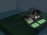 anthro bed bedroom brown_hair clothing convenient_censorship footwear fur fur_markings furniture glowing glowing_eyes green_background green_eyes hair legwear light_through_window male markings morning nude orange_body orange_fur pattern_clothing pattern_legwear pattern_socks prosthetic_ear simple_background socks solo waking_up window_light setriaphtfj navirus_(syrup-taifh) canid canine fox mammal hi_res