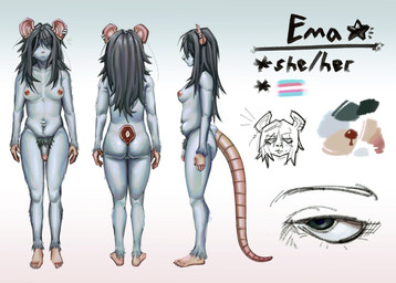 anthro balls black_hair breasts ear_piercing front_view fur genitals grey_body grey_fur gynomorph hair humanoid_genitalia humanoid_penis intersex lgbt_pride looking_at_viewer nude penis piercing pride_colors pubes rat_tail rear_view side_view small_breasts solo star tail text transgender_pride_colors amyarellano07 emma_(dumb_plague) mammal murid murine rat rodent hi_res model_sheet trans_(lore) trans_woman_(lore)