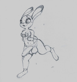 anthro balls bodily_fluids bottomwear breasts bulge clothed clothing detailed_bulge erection exercise genital_outline genitals gynomorph intersex midriff navel pants penis penis_outline running simple_background solo sticky sweat white_background worried yang_(artist) disney zootopia judy_hopps lagomorph leporid mammal rabbit absurd_res hi_res