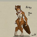 anthro black_nipples chest_tuft collar collar_only digitigrade female fluffy fluffy_tail inner_ear_fluff leg_markings looking_aside markings multi_nipple nipples nude pink_collar prick_ears socks_(marking) tail tuft acev canid canine dhole mammal 1:1 2024 absurd_res hi_res