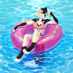 anthro beverage black_body black_fur black_hair black_nose black_spots clothed clothing female fluffy fluffy_tail fur glistening glistening_eyes green_eyes hair holding_beverage holding_object looking_at_viewer markings mouth_closed multicolored_body multicolored_fur pool_toy reclining red_clothing red_swimwear red_topwear short_hair solo spots spotted_body spotted_fur swimwear tail tan_body tan_fur topwear unsigned water white_body white_fur corzh77 canid canine canis mammal wolf 1:1 absurd_res full-length_portrait hi_res portrait