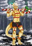 anthro bulge clothing holidays holly_(plant) male plant solo tail underwear chaina christmas mythology dragon mythological_creature mythological_scalie scalie absurd_res hi_res