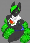 anthro big_breasts big_ears biped black_body black_fur black_hair boy_shorts breasts butt clothed clothing female food fruit fur golt green_eyes green_hair hair hair_over_eye kneeling looking_at_viewer melon one_eye_obstructed panties plant shirt smile solo tail topwear underwear watermelon niis niis_(character) hybrid koala mammal marsupial vombatiform hi_res