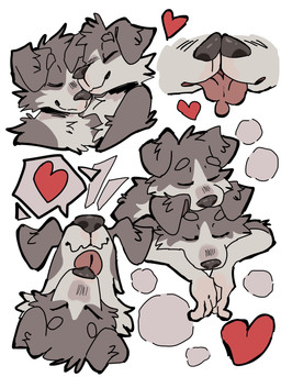 4_fingers anthro cheek_tuft circle_eyebrows closed_smile countershading duo eyebrows eyes_closed facial_tuft fingers floppy_ears fur grey_body grey_fur grey_nose head_tuft heart_reaction heart_symbol kissing licking licking_tongue lying_on_another male male/male mouth_closed nose_to_nose romantic romantic_couple simple_background smile steam tongue tongue_out tuft white_background mintcashew border_collie canid canine canis collie domestic_dog herding_dog mammal pastoral_dog sheepdog 2025 absurd_res hi_res multiple_scenes