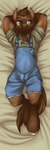 anthro clothed clothing dakimakura front_view male overalls shirt solo topwear atryl ian_porter equid equine horse mammal dakimakura_design