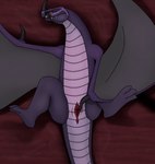 anal feet female feral fingering genitals horn playing_with_pussy purple_body purple_scales pussy scales solo tail wings goldgalaxy2004 dreamworks how_to_train_your_dragon mythology dragon mythological_creature mythological_scalie scalie skrill_(species) hi_res