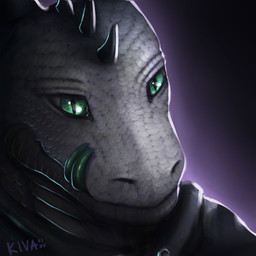 ambiguous_gender clothed clothing gradient_background green_eyes green_tongue looking_at_viewer pupils scales simple_background slit_pupils solo tongue white_body white_scales conditional_dnp kiva~ european_mythology mythology tuchanka_drako dragon mythological_creature mythological_scalie scalie western_dragon 1:1 2015 headshot_portrait icon portrait